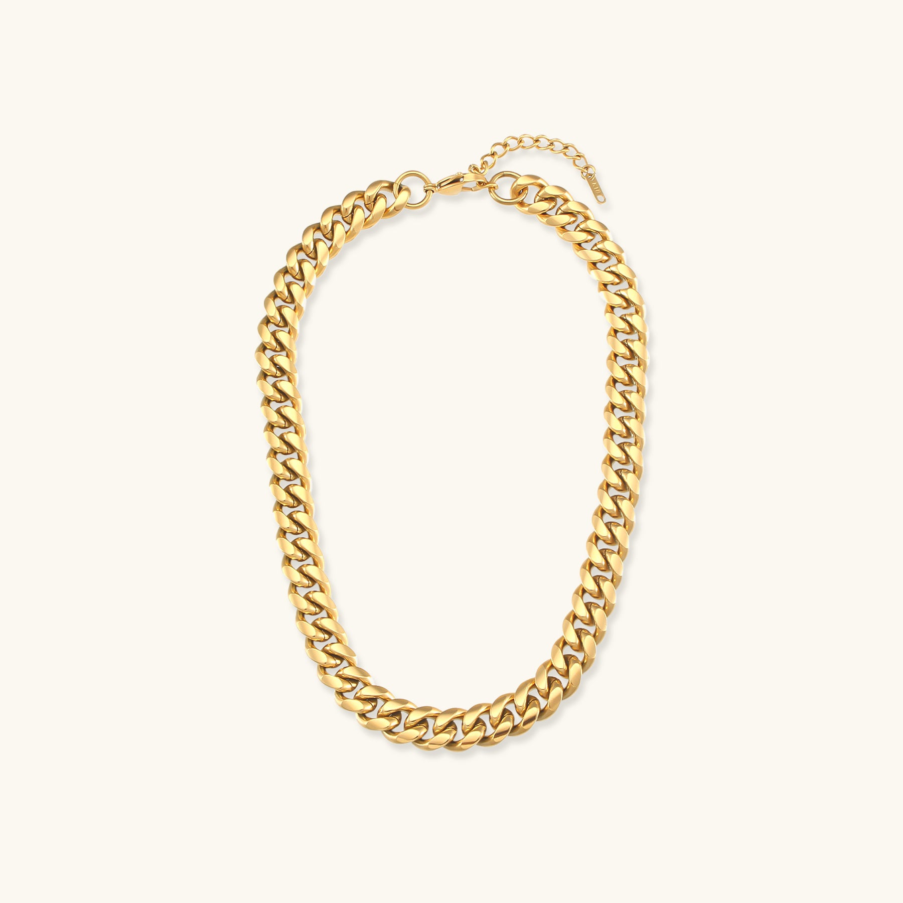 Gianna Chunky Chain Necklace Image