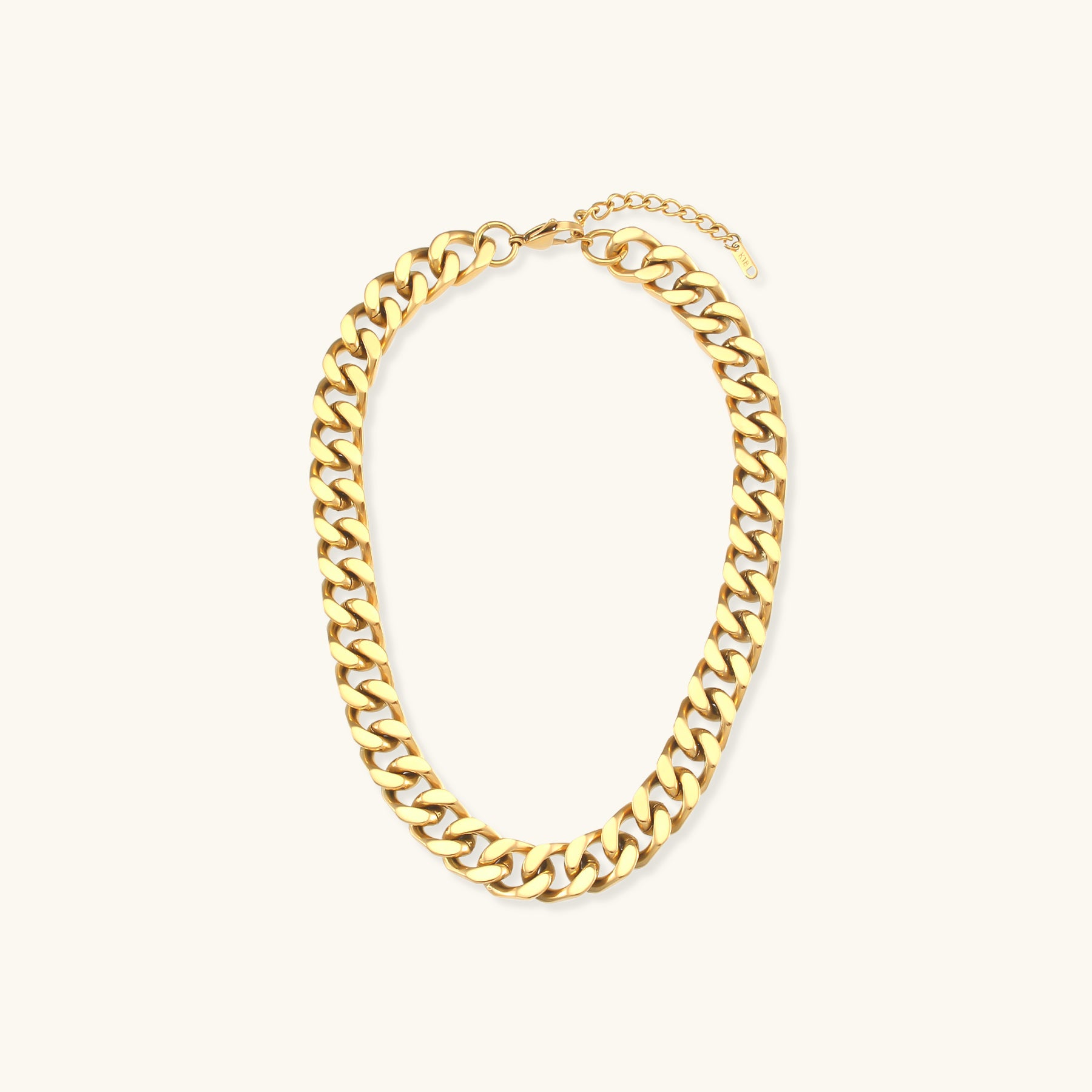 Gianna Chunky Chain Necklace Image