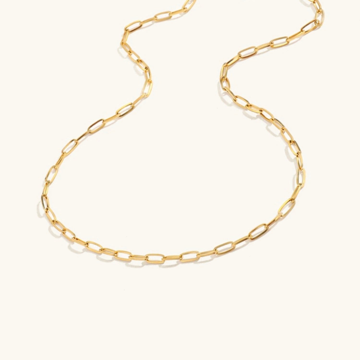 Amber Gold Chain Necklace Image