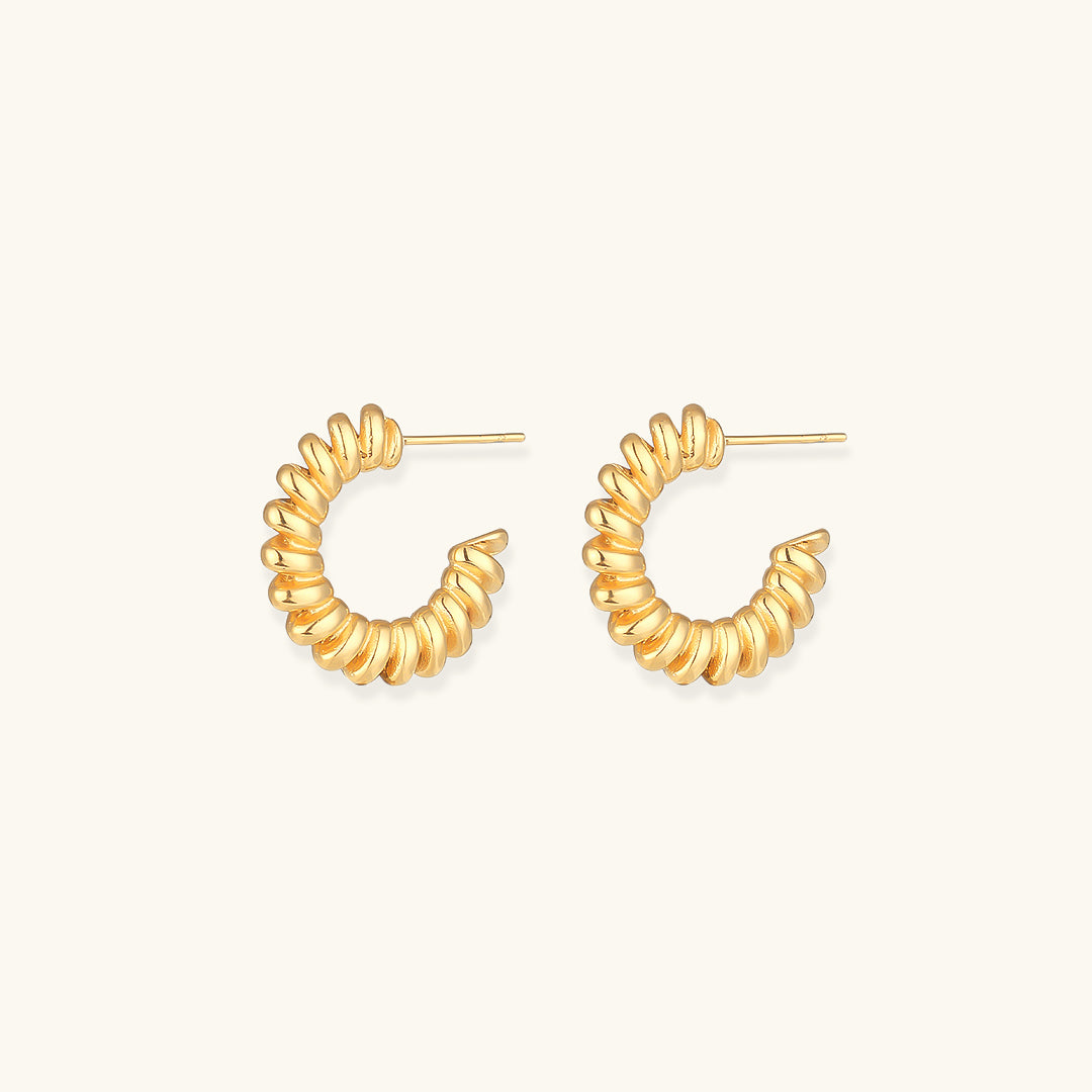 Brynlee Twisted Earrings Image