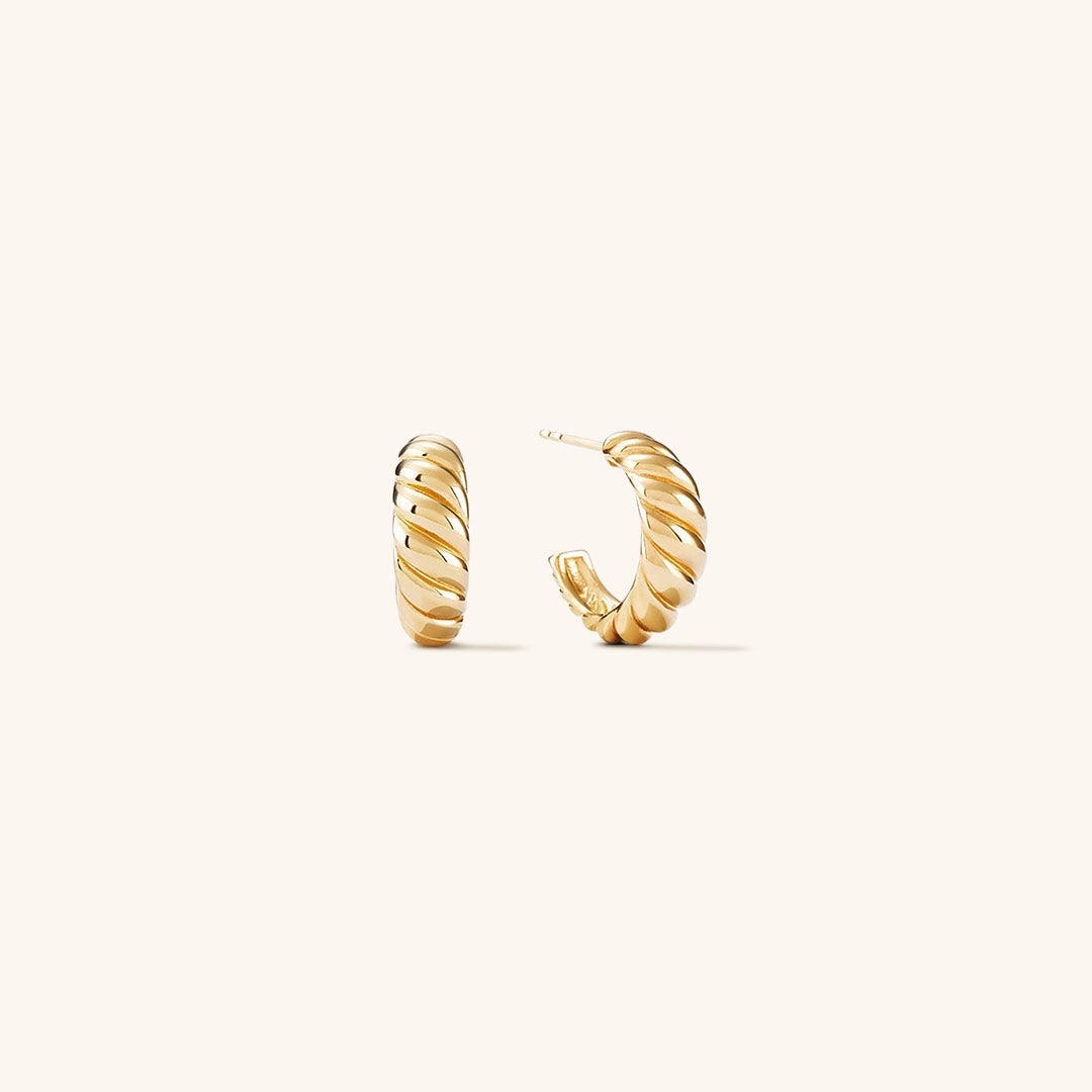 Croissant Arc Earrings Image