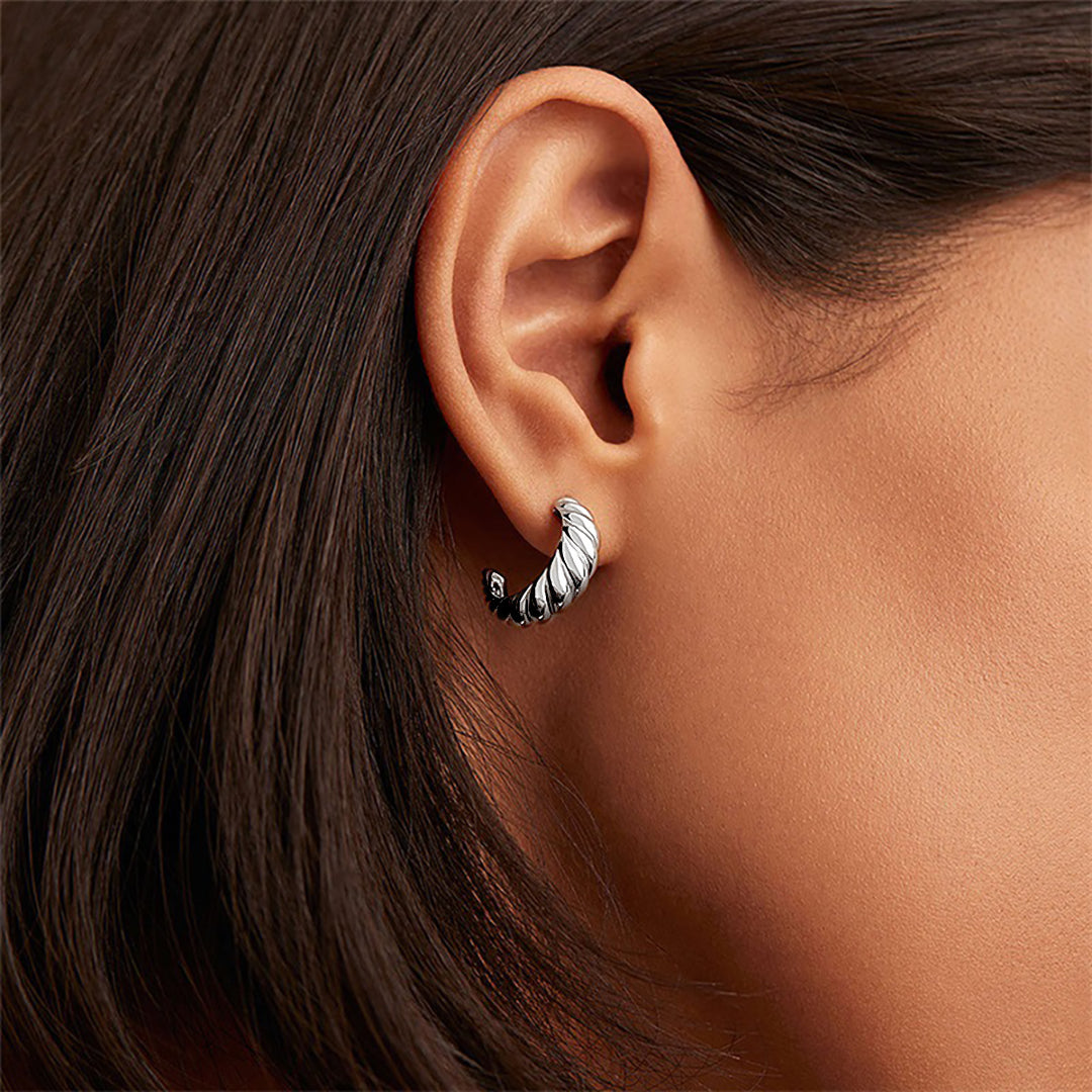 Croissant Arc Earrings Image