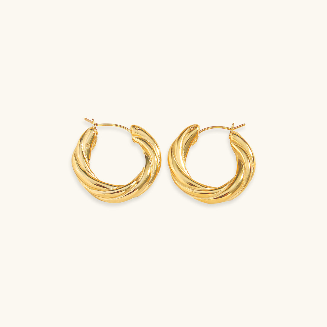 Denisse Twisted Hoop Earrings Image