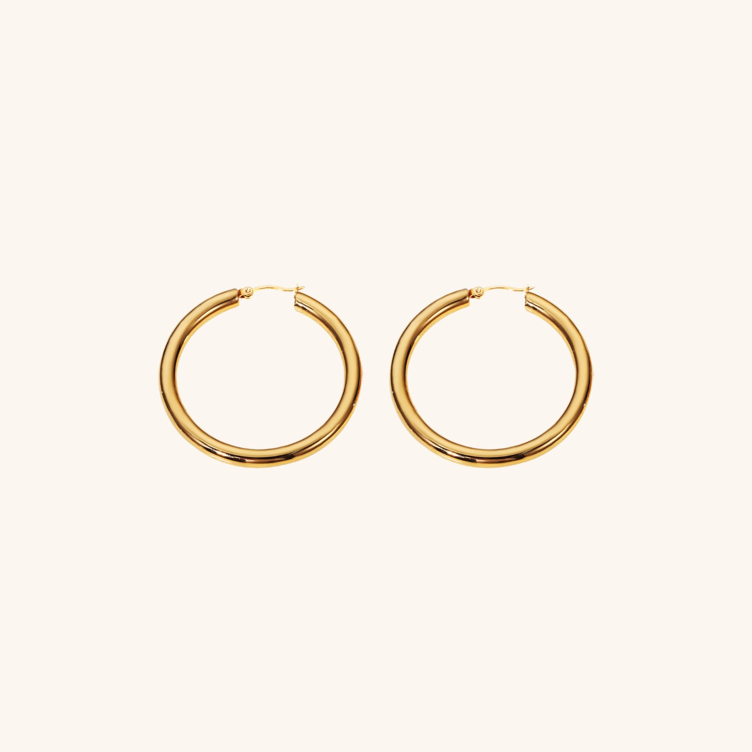 Wide Hoop Earrings Image