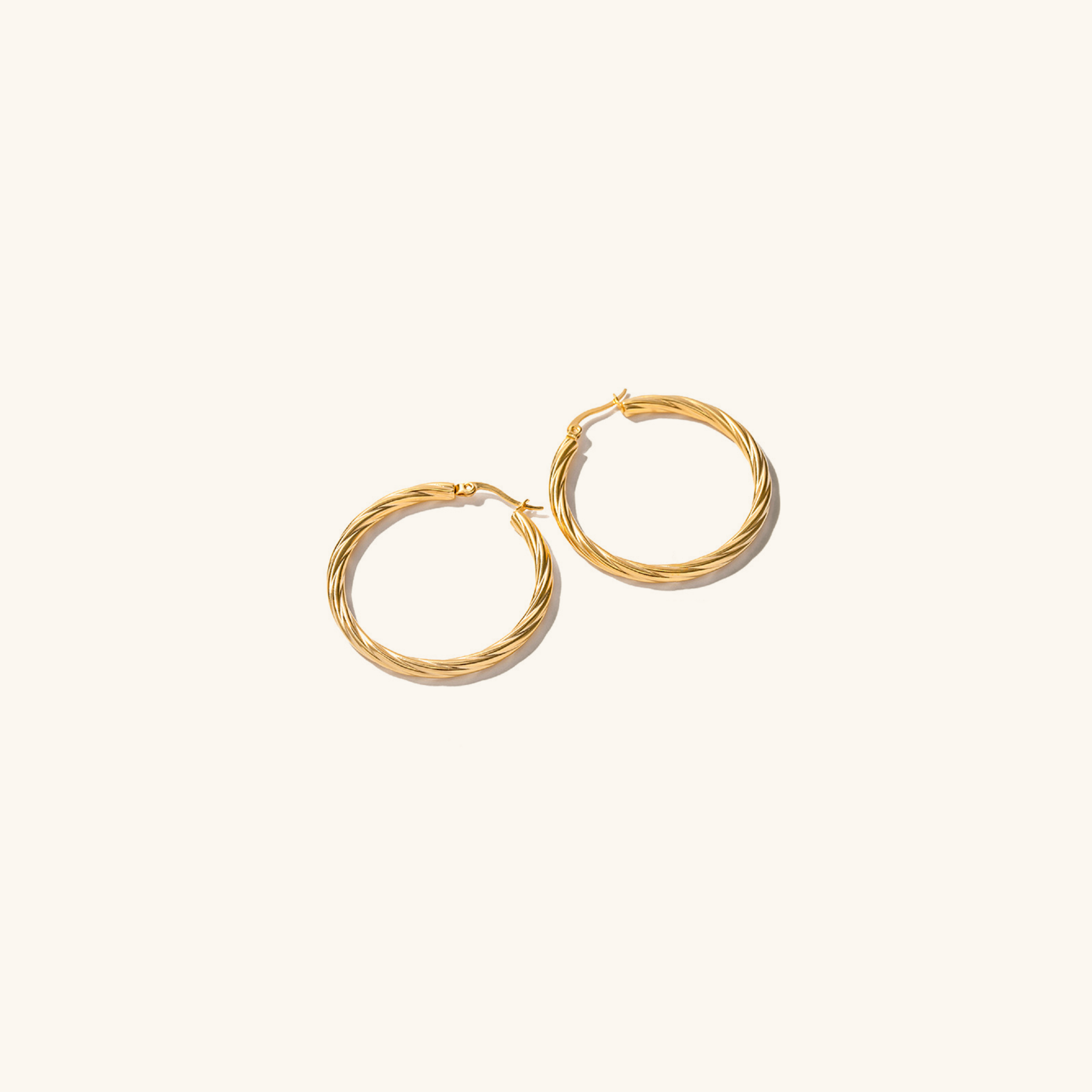 Zephy Hoop Earrings Image