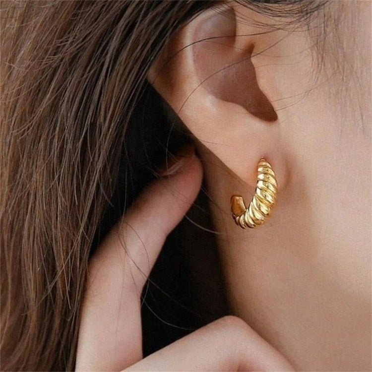 Croissant Arc Earrings Image