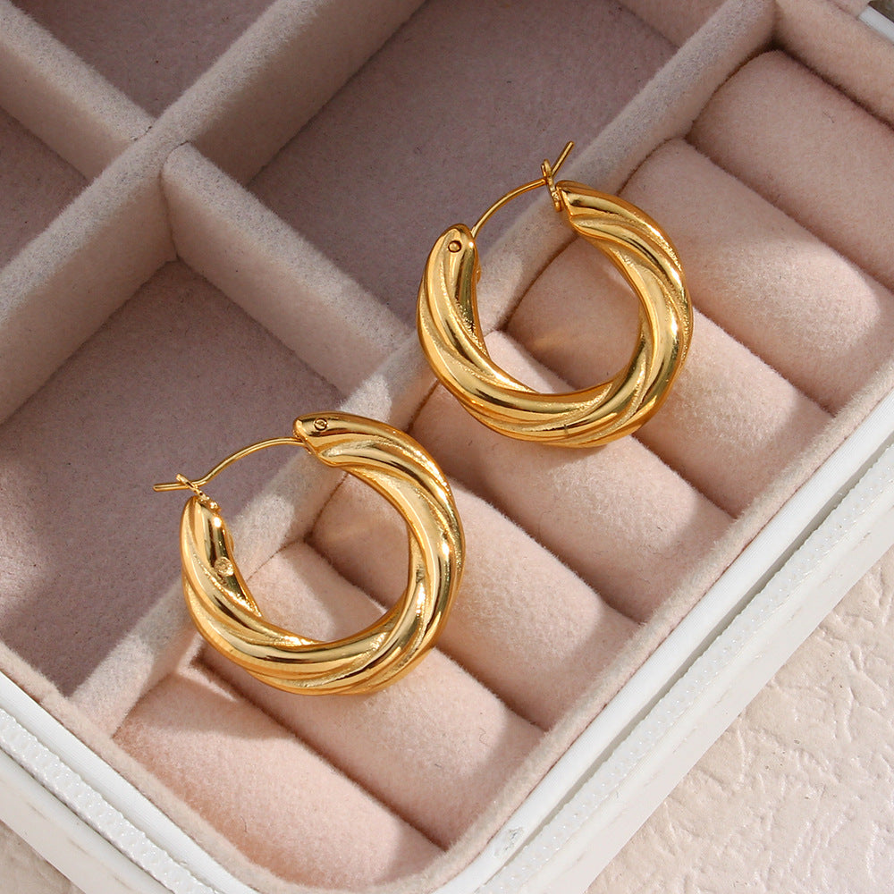 Denisse Twisted Hoop Earrings Image