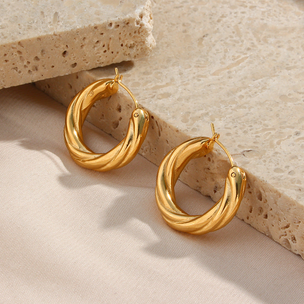 Denisse Twisted Hoop Earrings Image