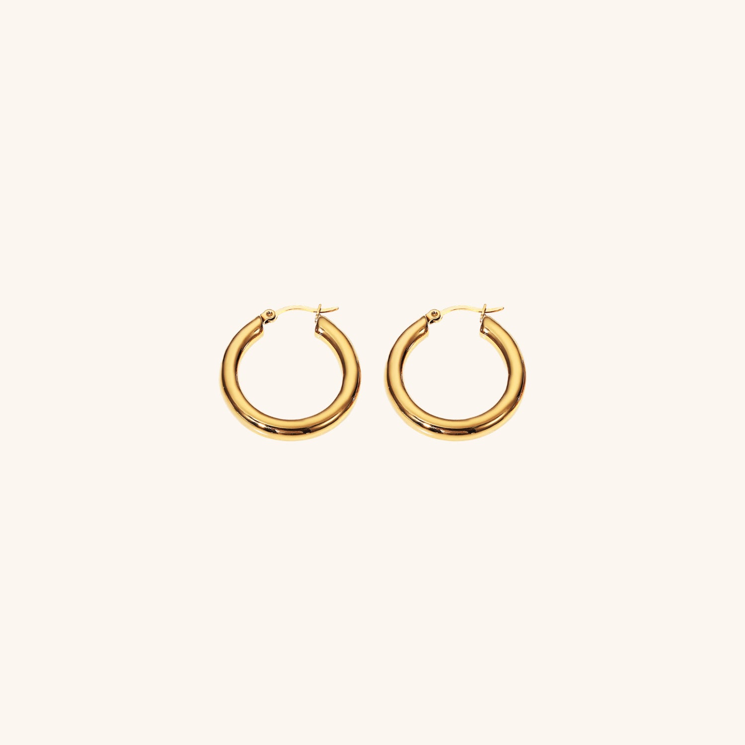 Wide Hoop Earrings Image