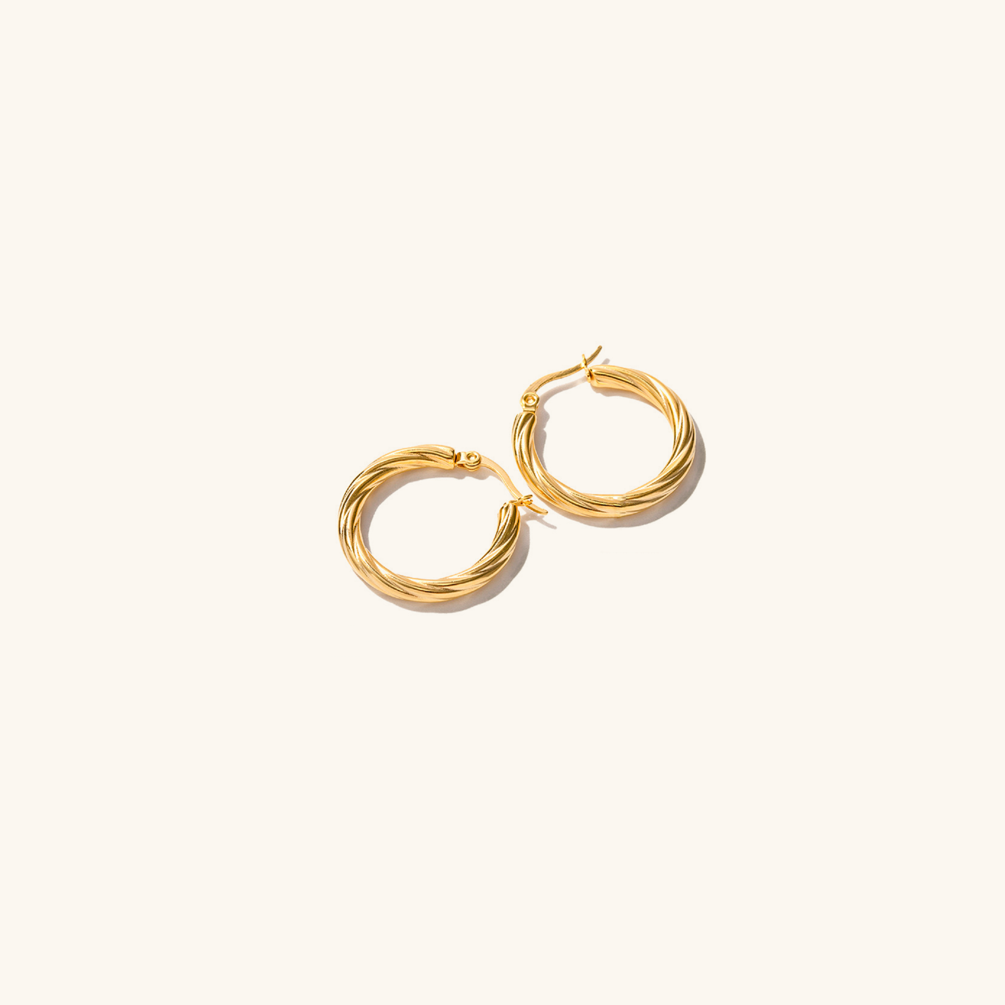 Zephy Hoop Earrings Image