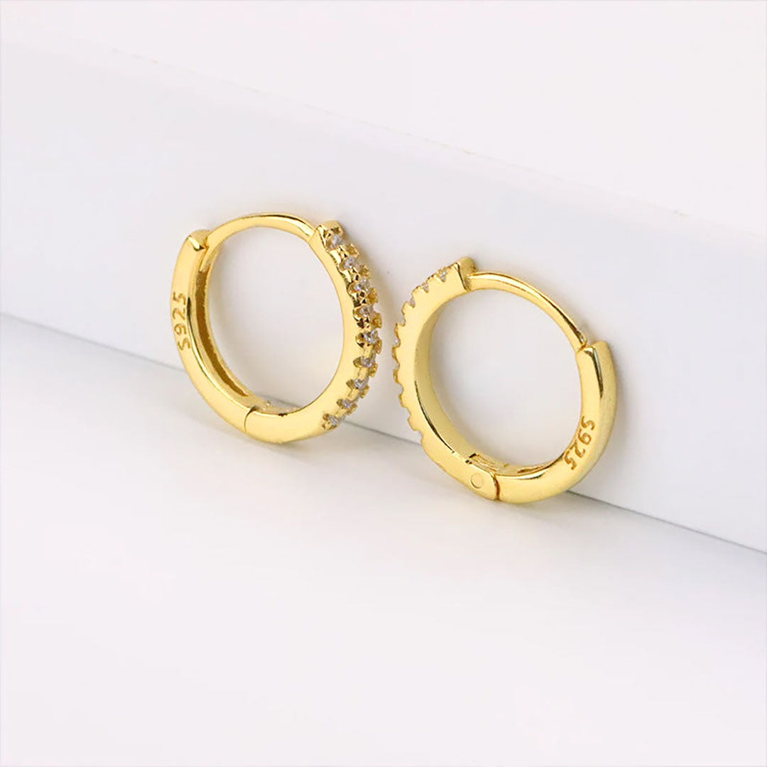 Terra Huggie Earrings Image