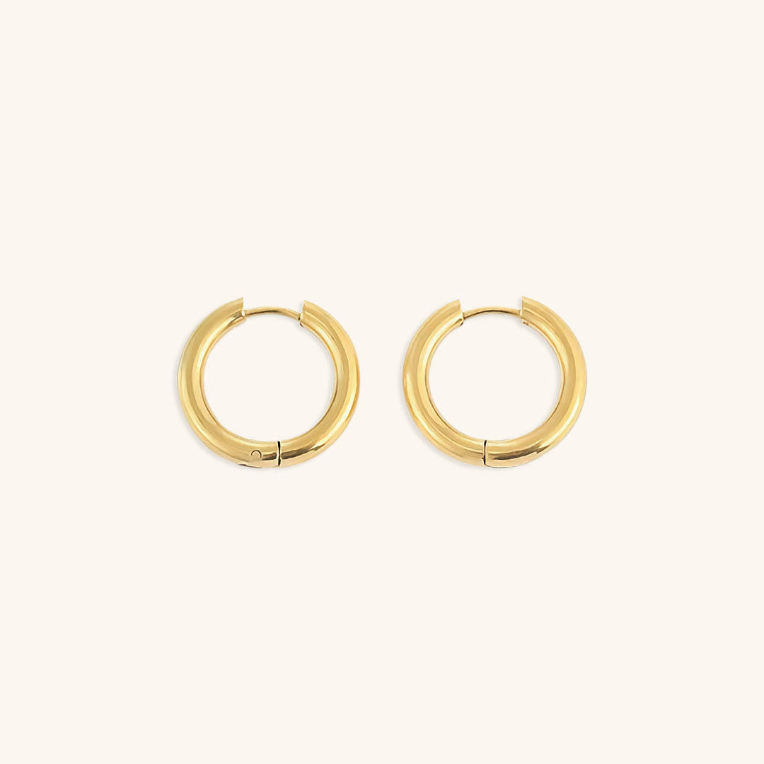 Classic Round Hoops Image