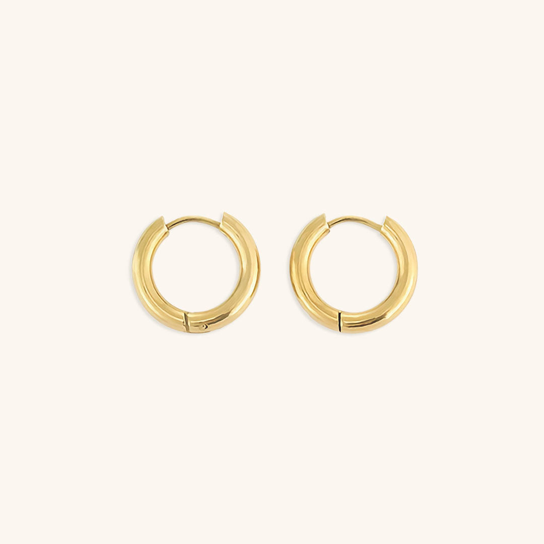 Classic Round Hoops Image